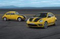 2014/04/24 - VW Beetle GSR k vidění na Vítkově